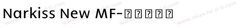 Narkiss New MF字体转换